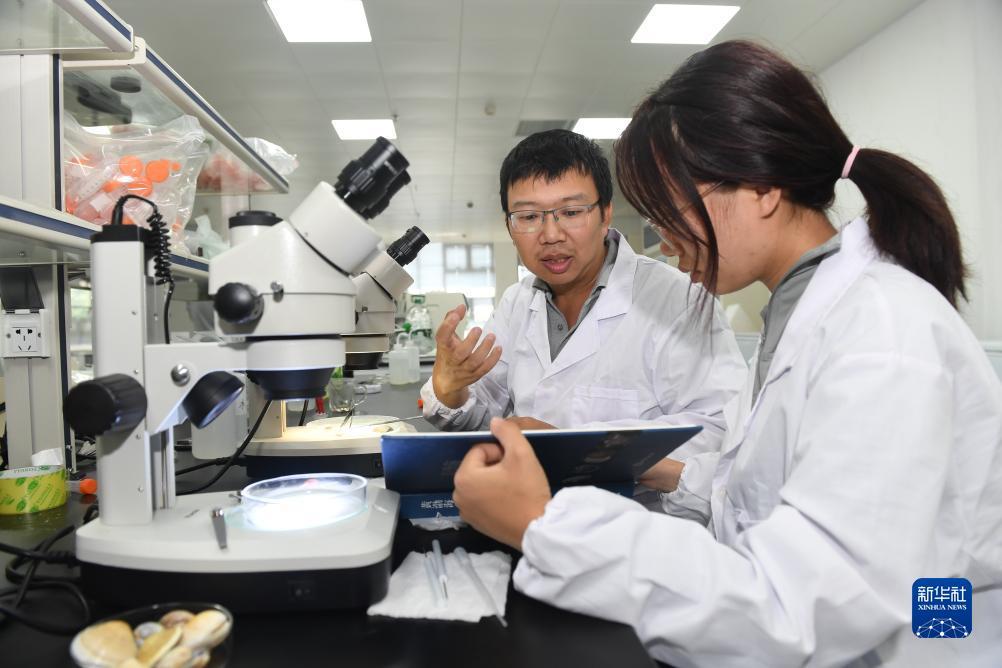 飞禽走兽赌币机游戏